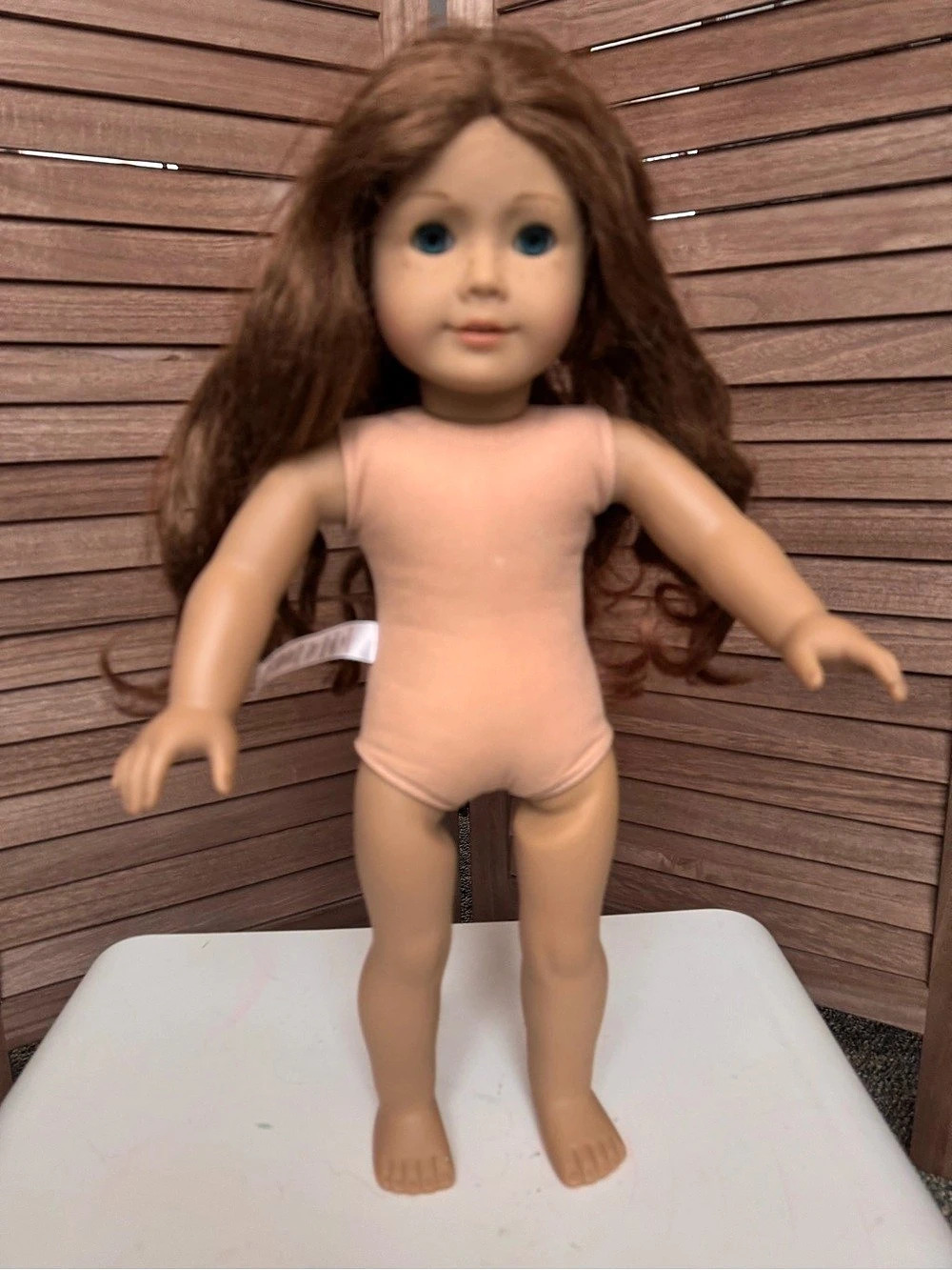 American Girl Saige Copeland Doll GOTY 2013 Retired